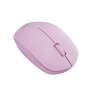 Everest SMW-88 Usb 2.4Ghz Kablosuz Mouse,Mor