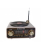 Everton RT-1320  Bluetooth Usb-Micro Plak Radyo