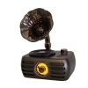 Everton Rt-704 Gramafonlu Bluetooth Fm-Usb-Tf-Aux  Şarjlı Nostaljik Radyo