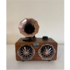 Everton Rt-744  Bluetooth Fm-Usb-Tf-Aux  Şarjlı Nostaljik Radyo