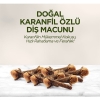 Eyüp Sabri TuncerDoğal Karanfil Özlü Diş Macunu 90 ml