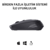 Lecoo WS202 Kablosuz 1200DPI 4 Tuşlu Optik Mouse Siyah