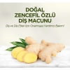 Eyüp Sabri TuncerDoğal Zencefil Özlü Diş Macunu 90 ml